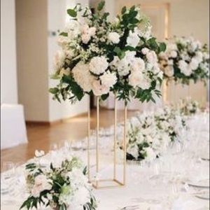 Meet your Posher, Elaina